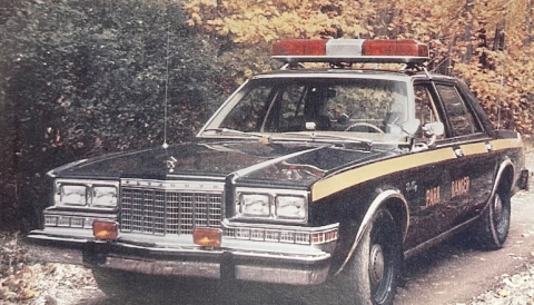 1988 Dodge Diplomat